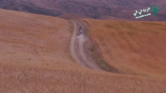 فيلم Bad ma ra khahad bord 1999 مترجم