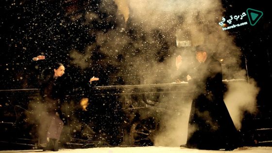 فيلم The Grandmaster 2013 مترجم