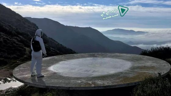 فيلم The Tangle 2019 مترجم